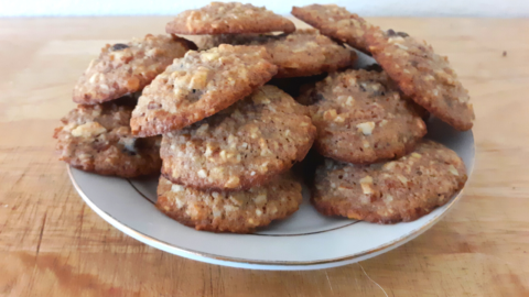 Gluten Free Keto Oatmeal Cookie Substitute - Janet's delicious low carb ...