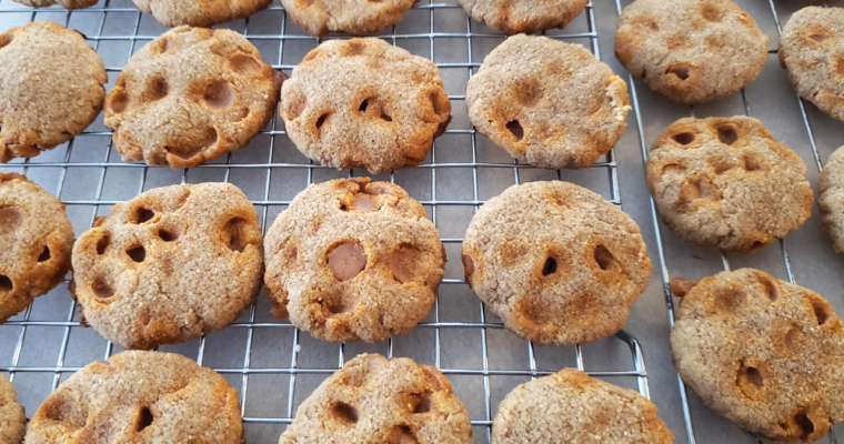 Quick Keto Butterscotch Gingerbread Cookies